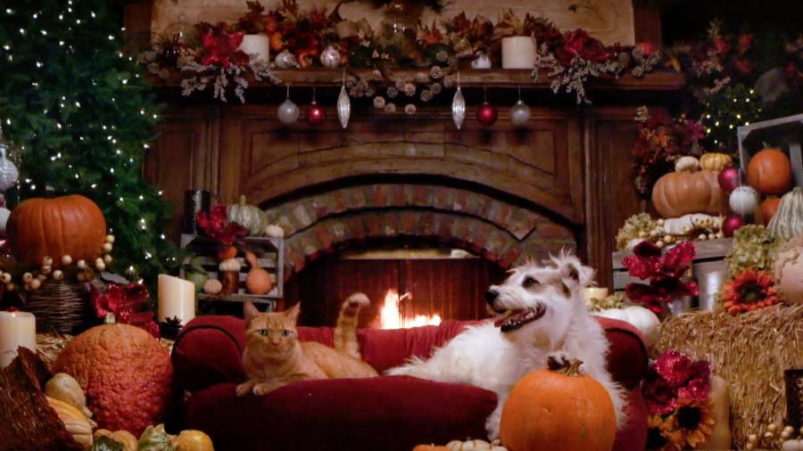 Video from "A Happy Yule Log" A Happy Yule Log Hallmark Movies and